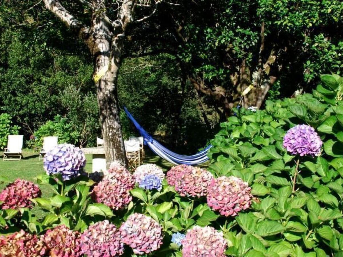 Maison rurale Oia, jardin 5000m² et rivière - Photo 26