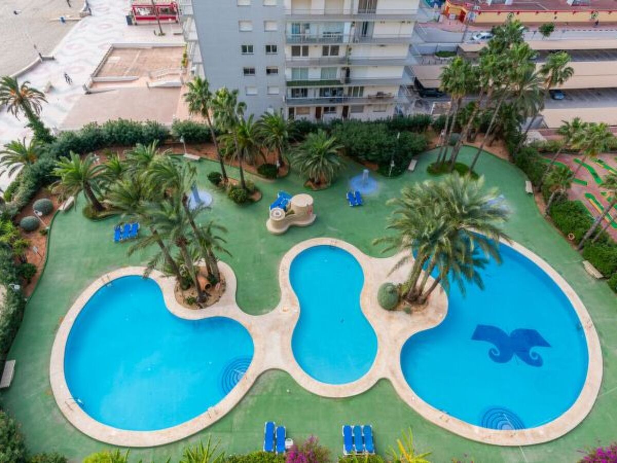 Apartment Turmalina Front - 3 ch, plage à 20m - Photo 32