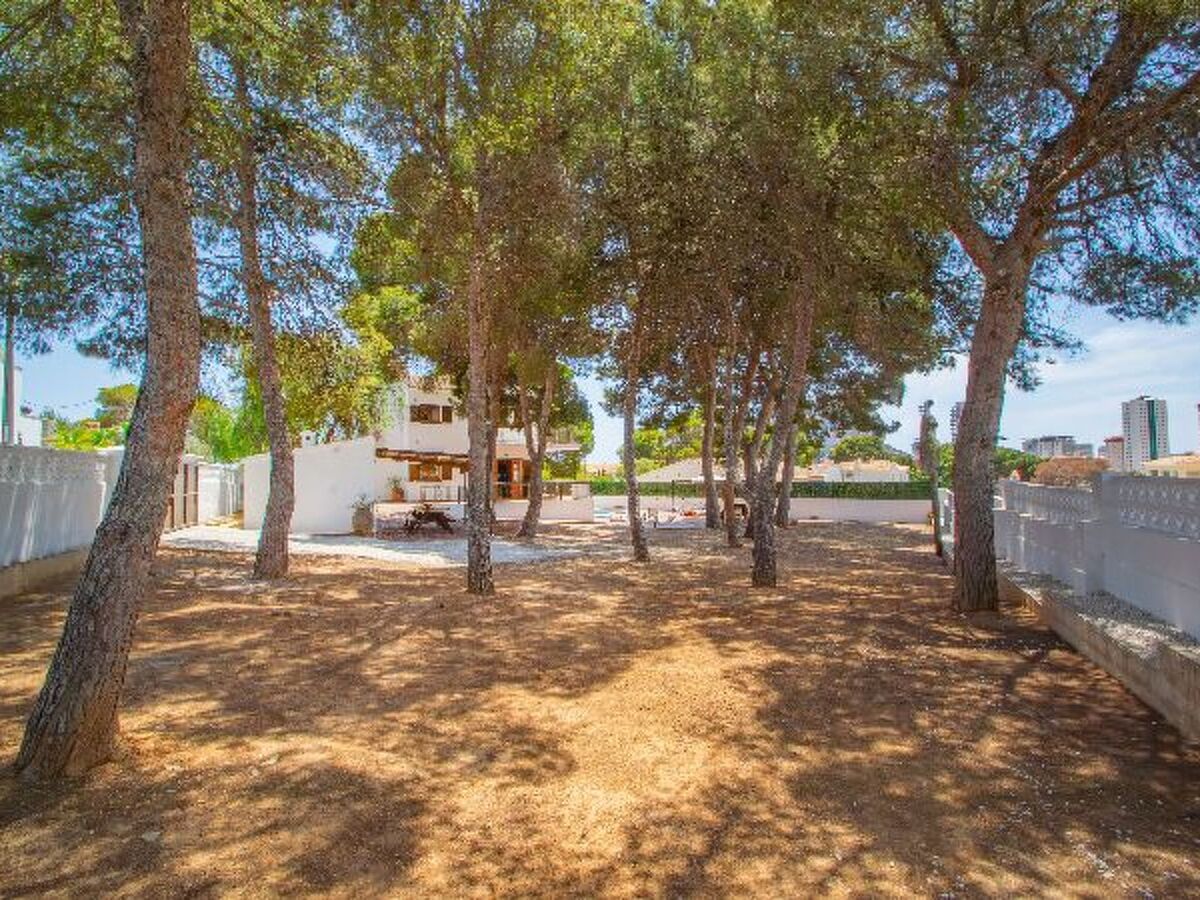 Villa 6 chambres avec piscine privée à Calpe - Photo 11