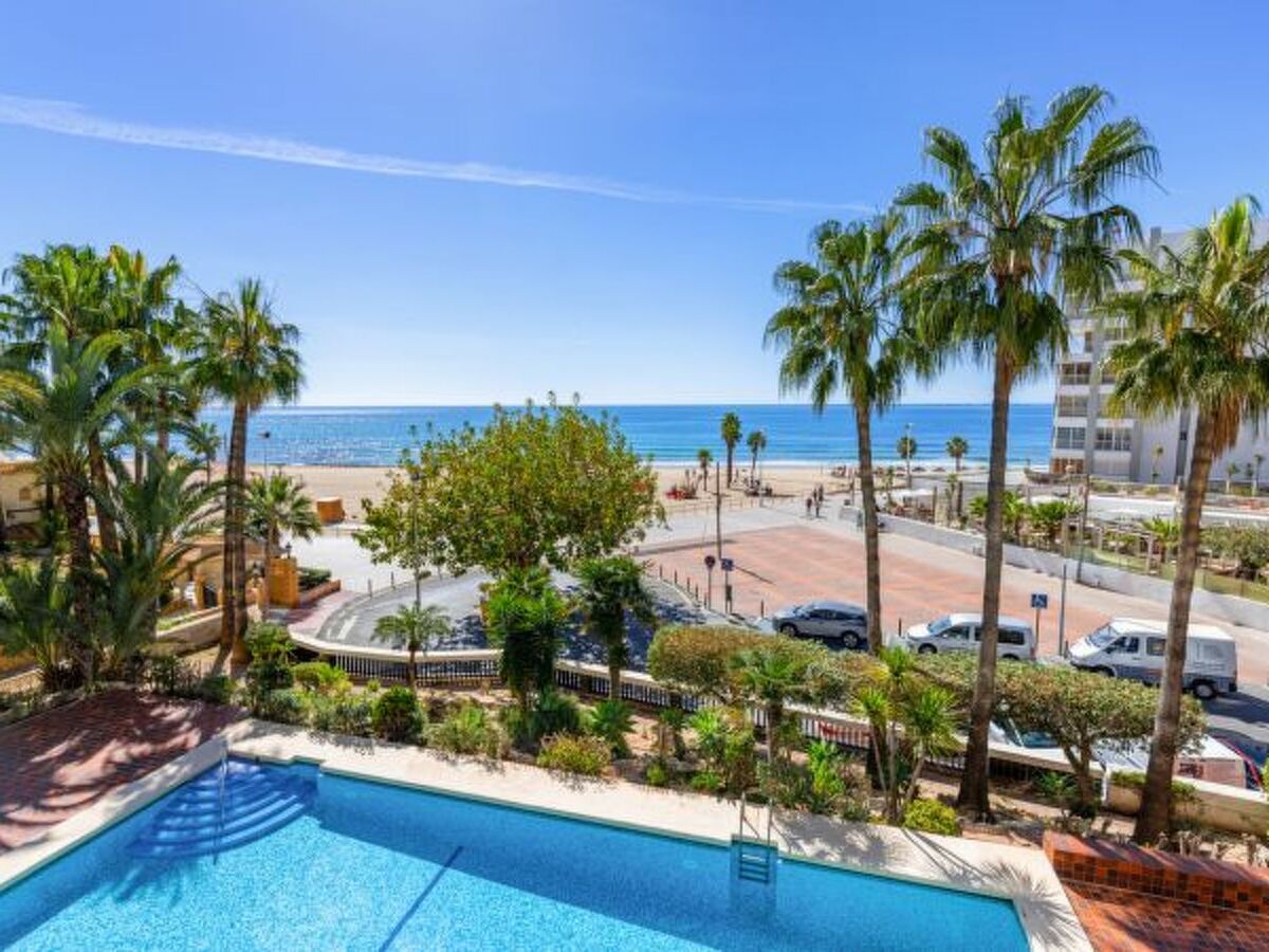 Apartment Colon - 50 m de la plage, piscine - Photo 1