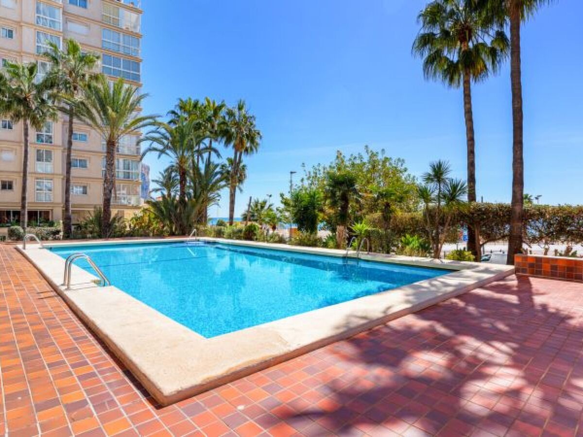 Apartment Colon - 50 m de la plage, piscine - Photo 21