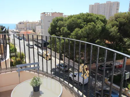 Studio en front de plage El Campello, 30 m² : photo 5