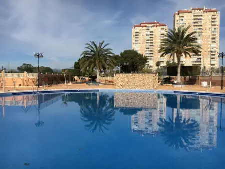 Studio vue plage à El Campello avec piscine et terrasse : photo 15
