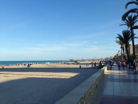 Studio vue plage à El Campello avec piscine et terrasse : photo 26