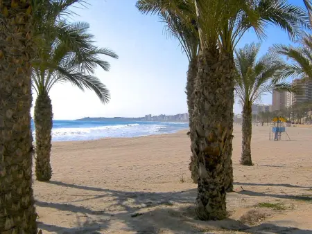 Studio vue plage à El Campello avec piscine et terrasse : photo 27