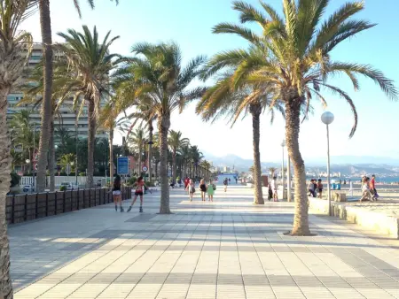 Studio vue plage à El Campello avec piscine et terrasse : photo 31
