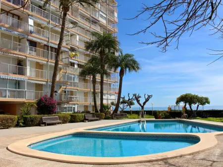 Apartamento Cabo Azul : front de plage, 2 ch., 4 pers. : photo 20