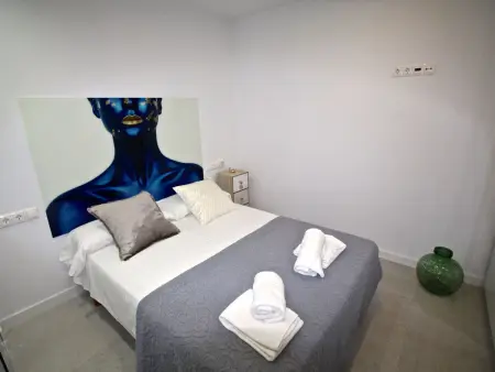 Appartement 3 chambres lumineux centre Alicante : photo 15