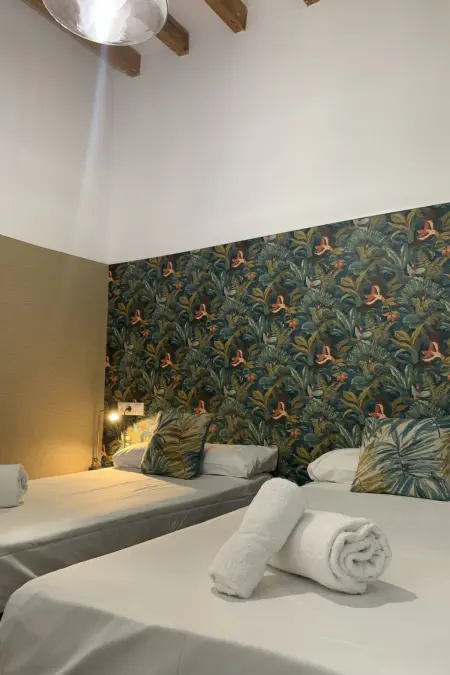 Appartement 3 chambres lumineux centre Alicante : photo 16
