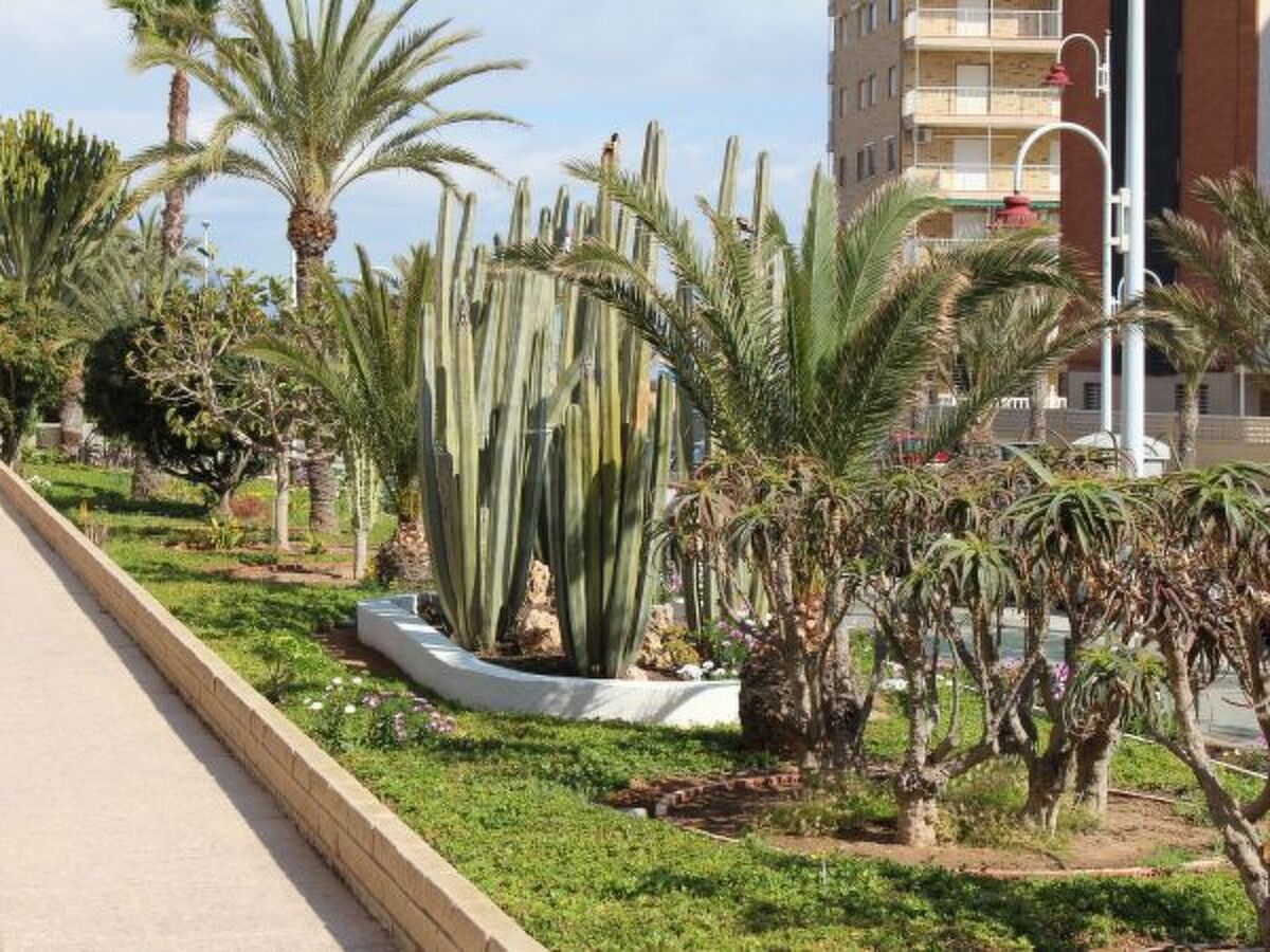 Appartement 3 chambres front de plage à Arenales del Sol - Photo 21