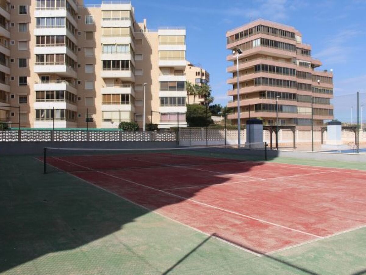 Appartement 3 chambres front de plage à Arenales del Sol - Photo 28