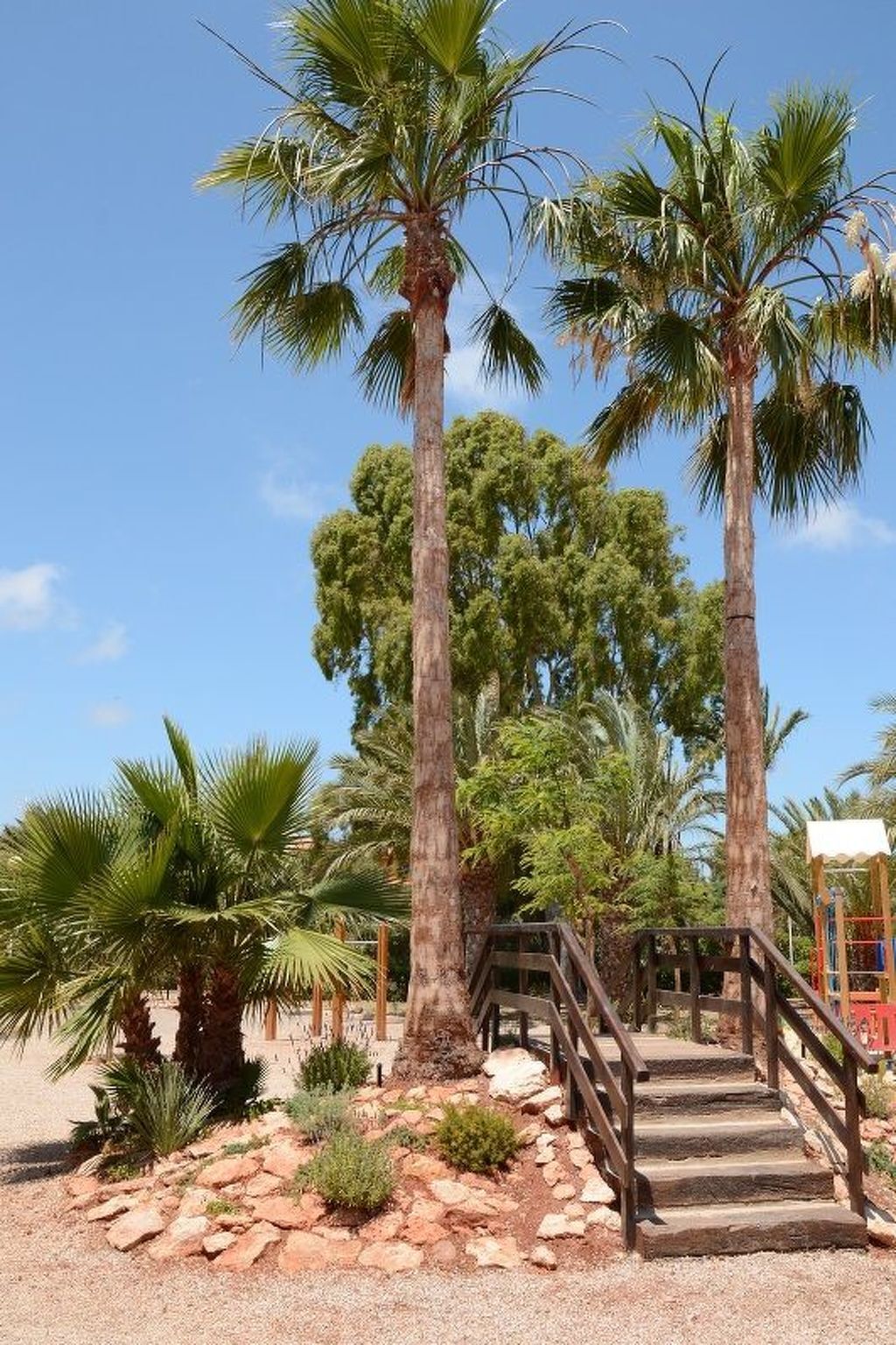Studio Violeta 17 – 400 m de la plage à El Carmolí - Photo 141