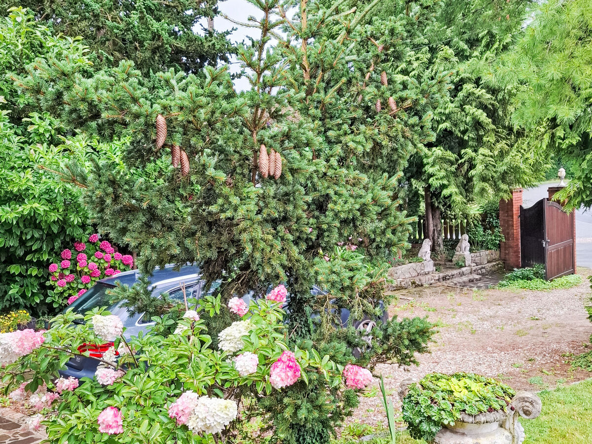 Maison normandienne 4 pers. avec jardin 3500 m² - Photo 4