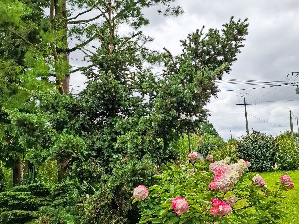 Maison normandienne 4 pers. avec jardin 3500 m² - Photo 19