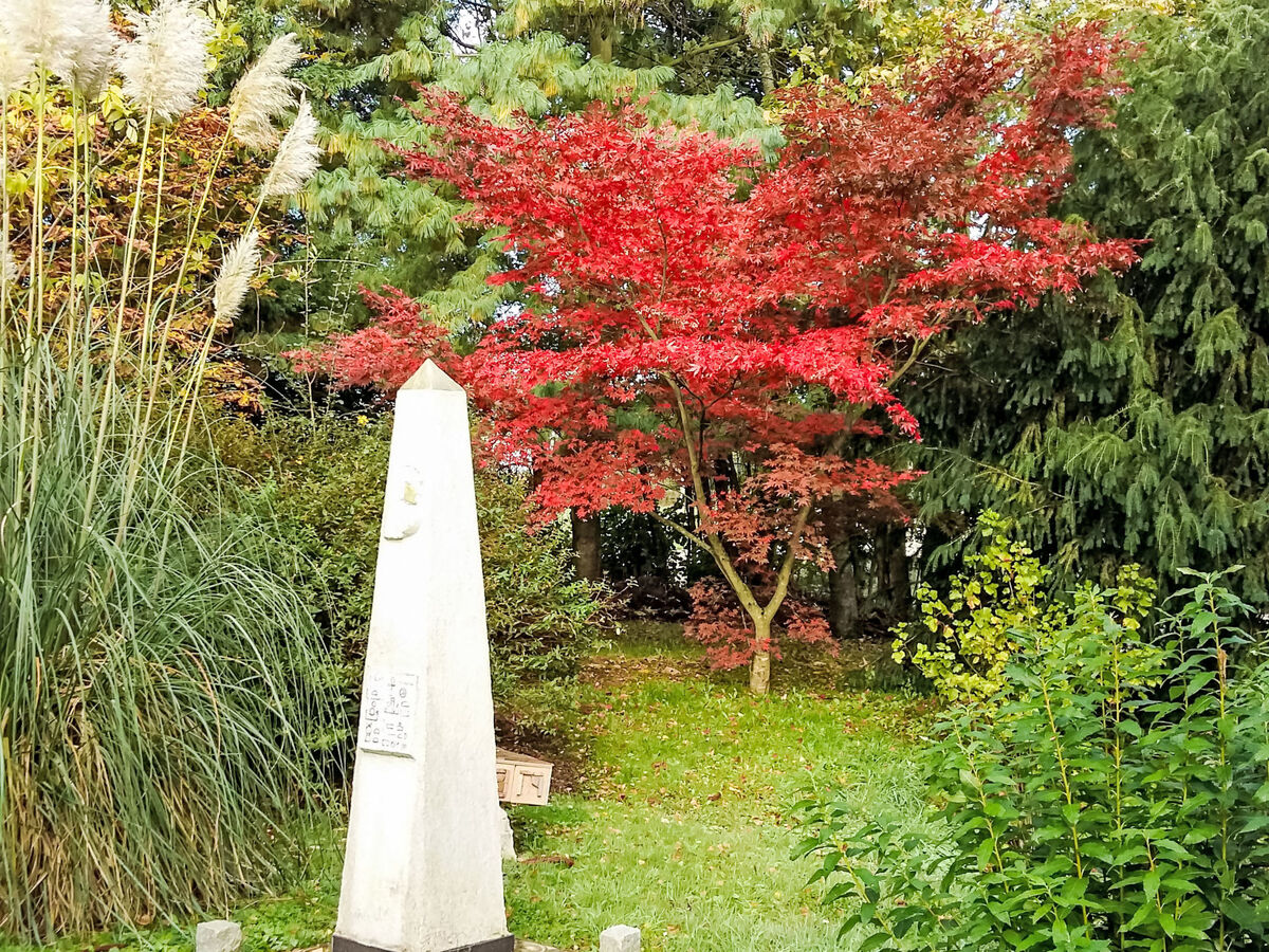 Maison normandienne 4 pers. avec jardin 3500 m² - Photo 21