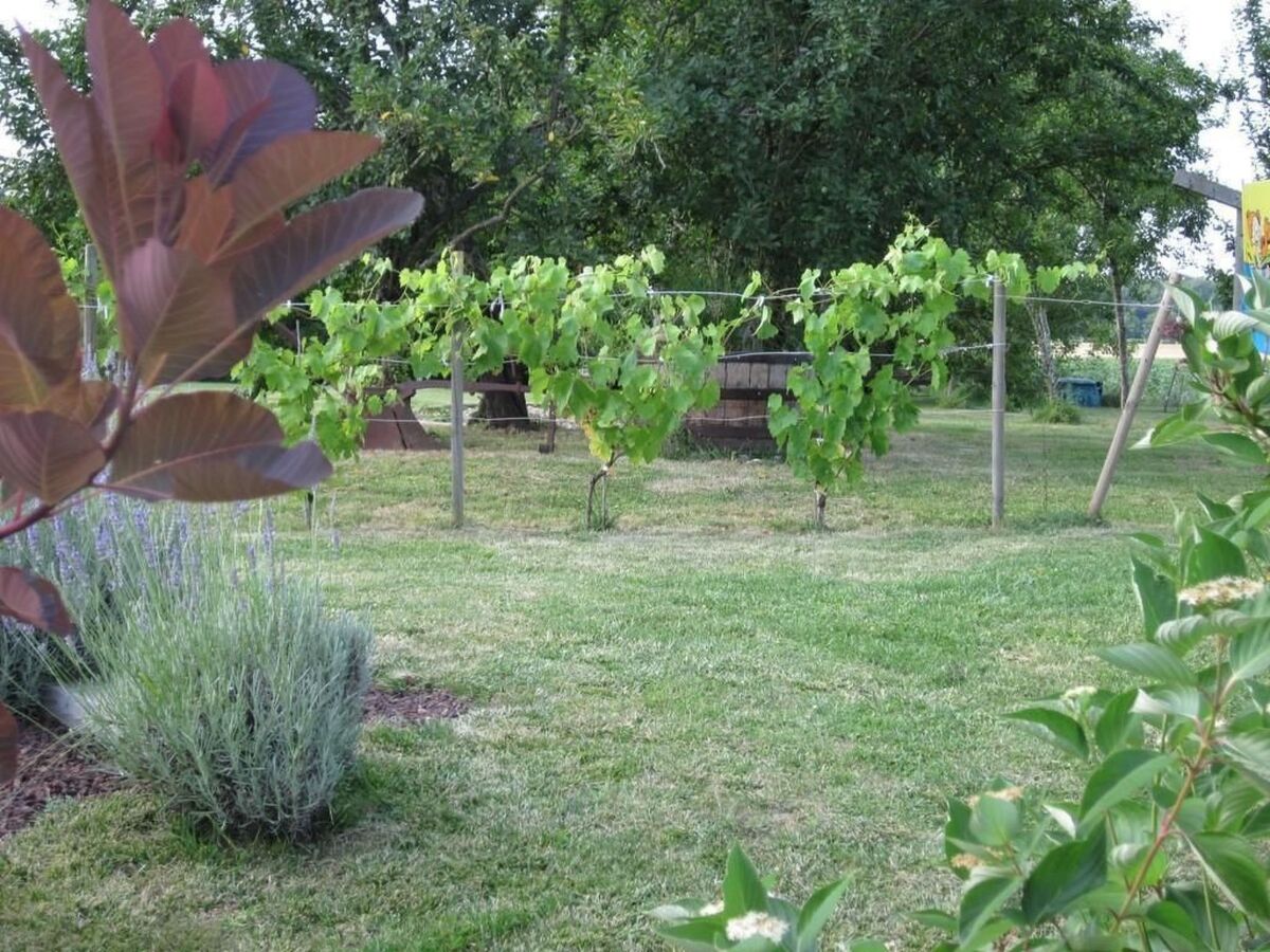 Maison L'Ecurie à Jonzac : jardin clos et terrasse - Photo 17