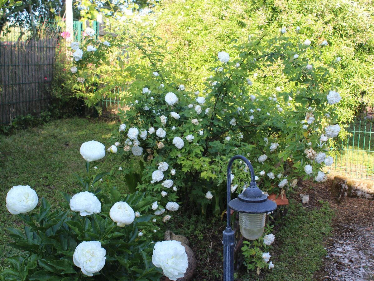 Maison L'Ecurie à Jonzac : jardin clos et terrasse - Photo 42