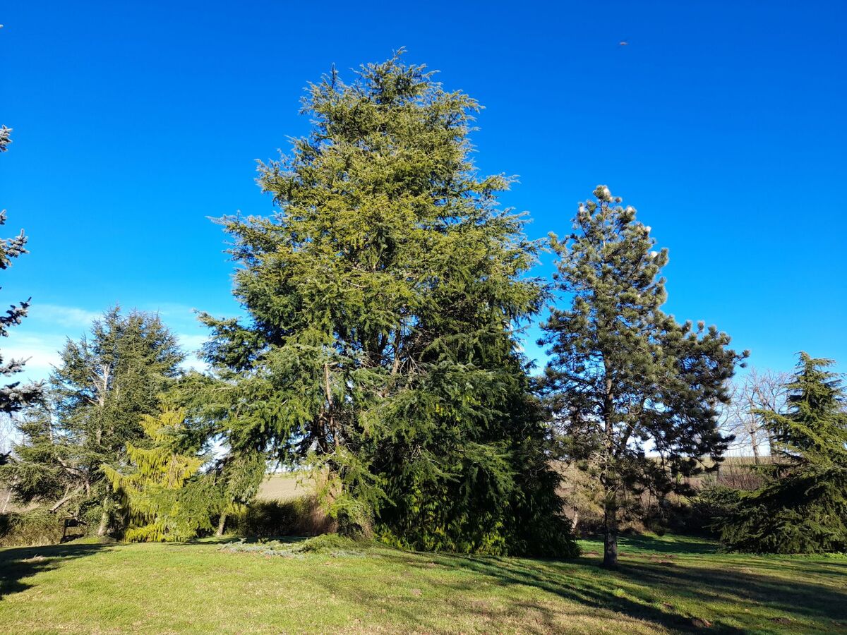 Maison 6 pers. en Auvergne, parc 3000m², vue vallonnée - Photo 14