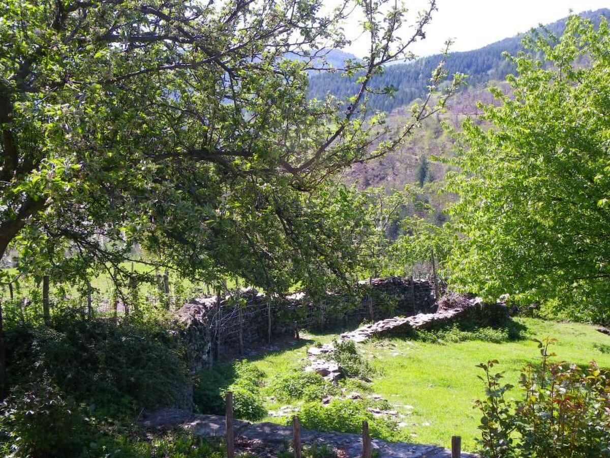 Appartement Saint André de Lancize, vue vallée Cévennes - Photo 15