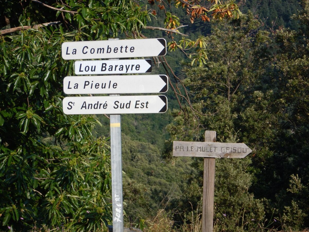Appartement Saint André de Lancize, vue vallée Cévennes - Photo 17