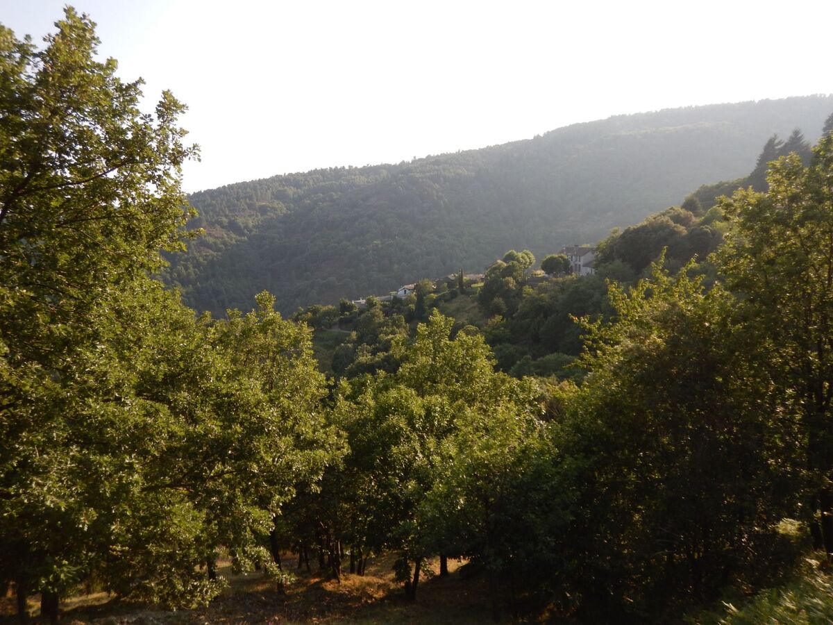 Appartement Saint André de Lancize, vue vallée Cévennes - Photo 18