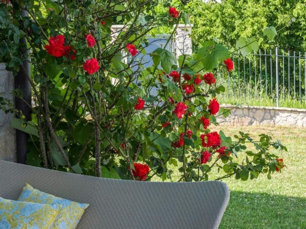 Villa Livia, maison pierre avec piscine à Buzet - Photo 25