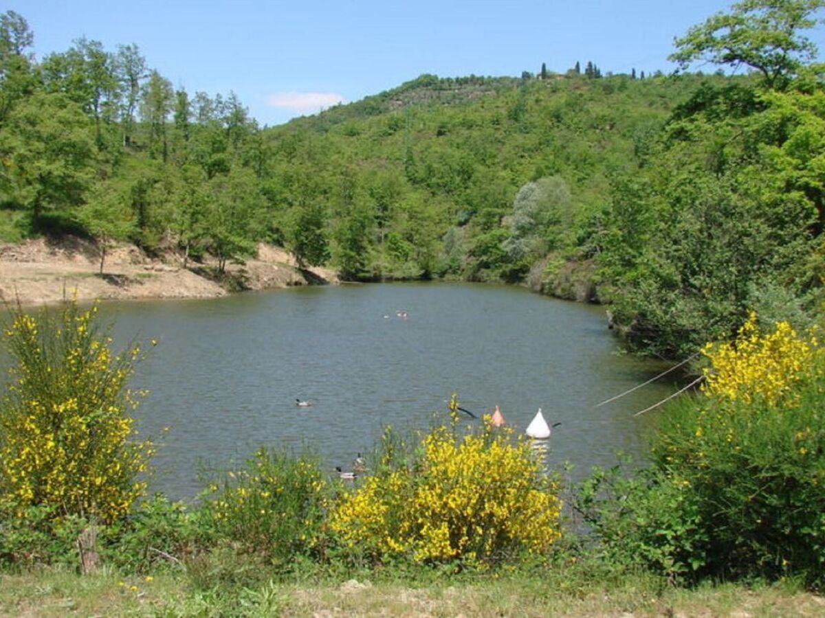 Le Corniole, maison toscane 10 pers. piscine & jacuzzi - Photo 42