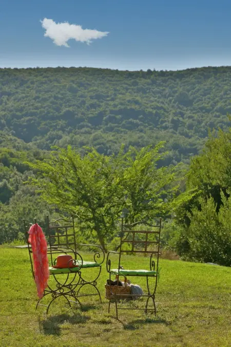 Ginestra 20 – Villa toscane 20 pers, piscine chauffée - Photo 1