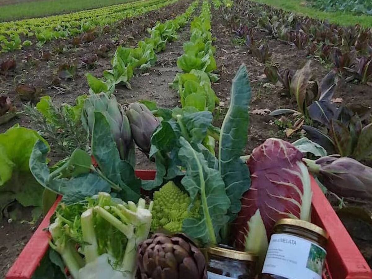 Loft à la ferme près de Rome avec jardin et barbecue - Photo 31