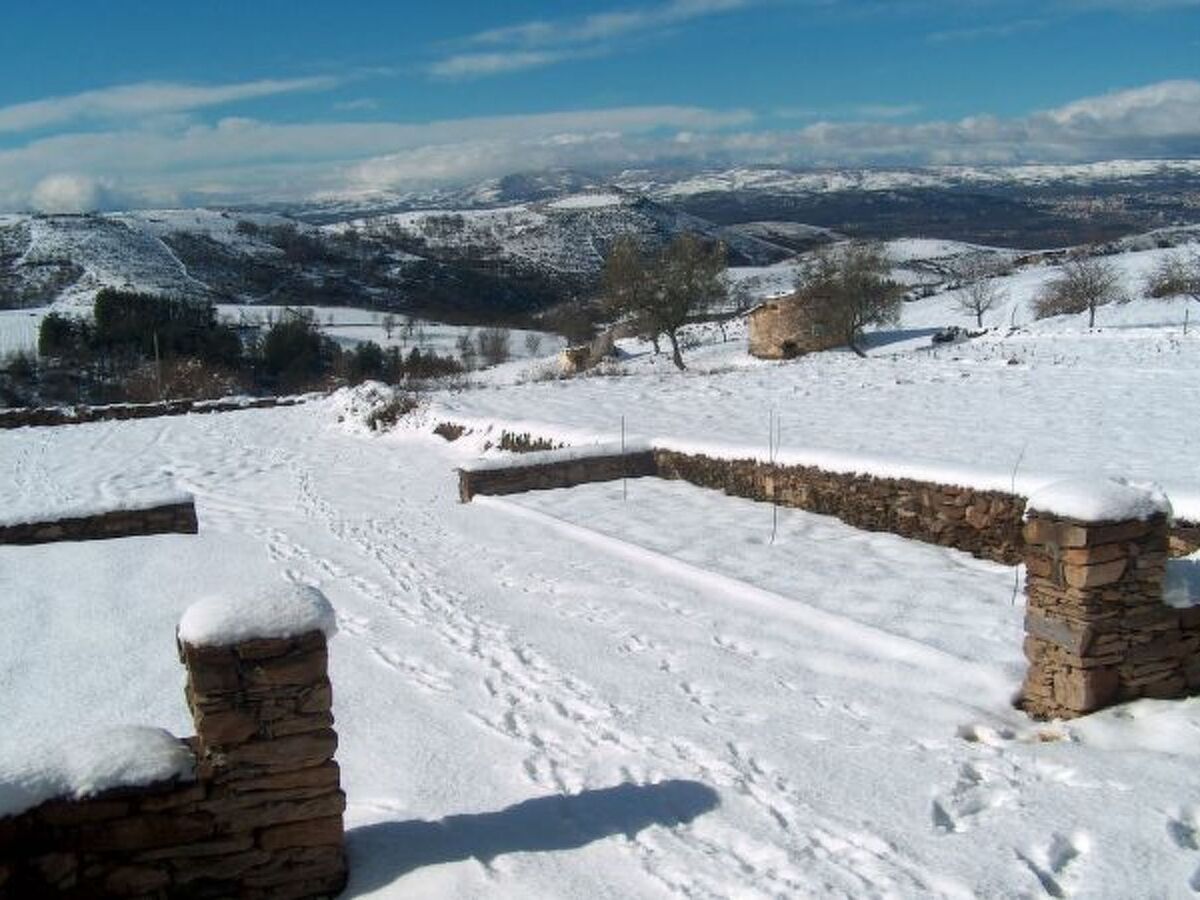Casa Luis Gonzaga – Maison de campagne à Braganza - Photo 10