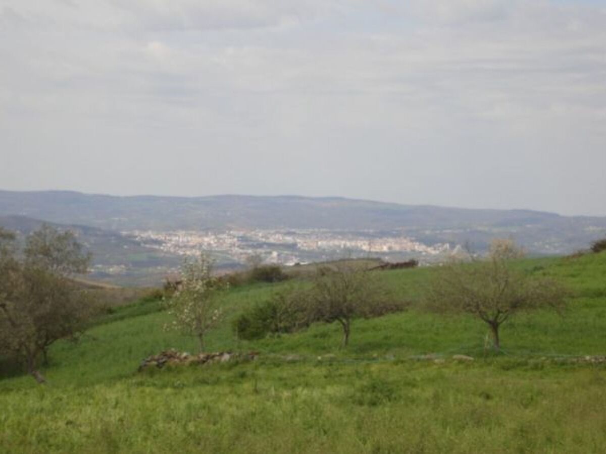 Casa Luis Gonzaga – Maison de campagne à Braganza - Photo 15