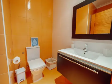 Villa 5 chambres avec piscine et salle de cinéma à Porto : photo 24