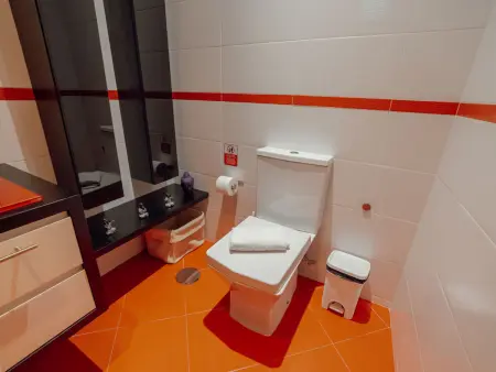 Villa 5 chambres avec piscine et salle de cinéma à Porto : photo 41