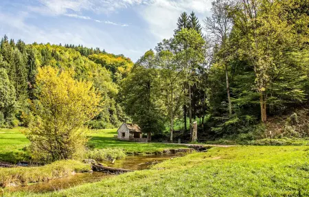 Maison 7 personnes avec grand jardin à Mutigney : photo 18