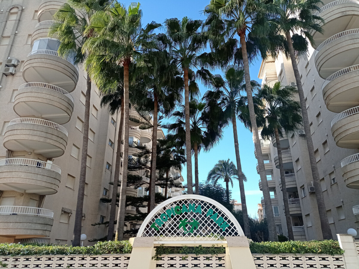 Appartement 1 chambre à Gandía, 250 m de la plage - Photo 3