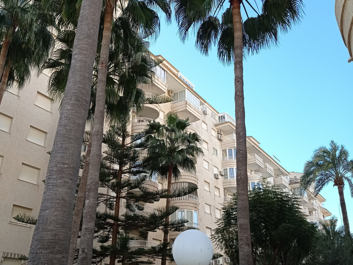 Appartement 1 chambre à Gandía, 250 m de la plage - Photo 8