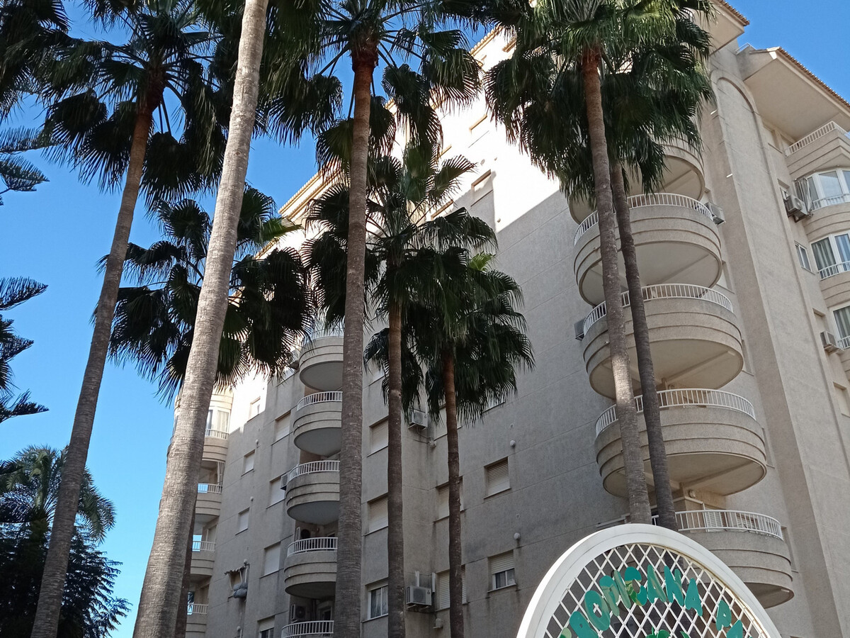 Appartement 1 chambre à Gandía, 250 m de la plage - Photo 10