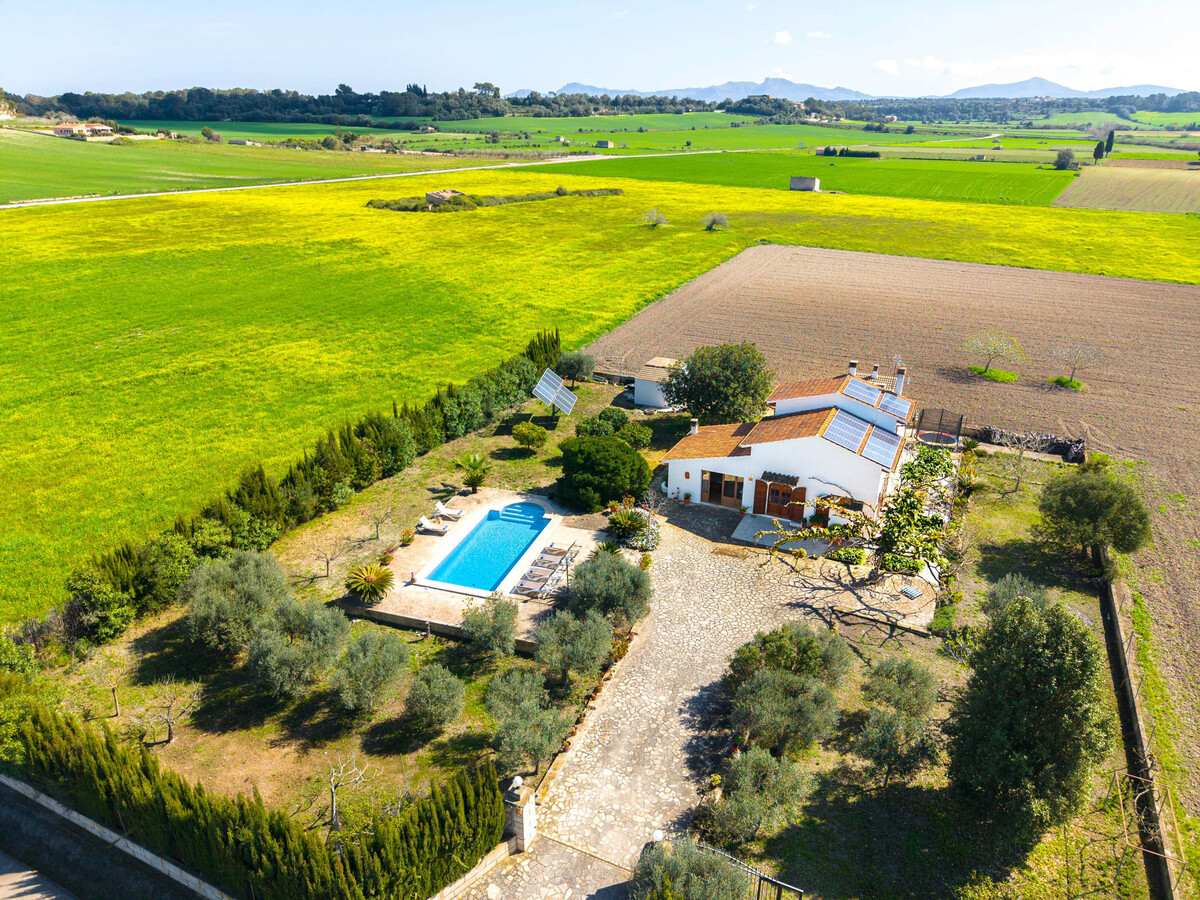 Villa 3 chambres Santa Margalida, piscine 8x4m privée - Photo 7