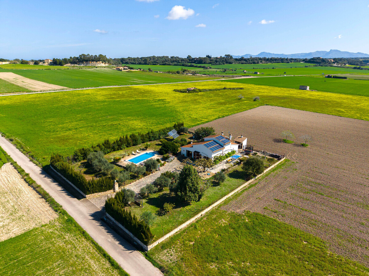 Villa 3 chambres Santa Margalida, piscine 8x4m privée - Photo 31