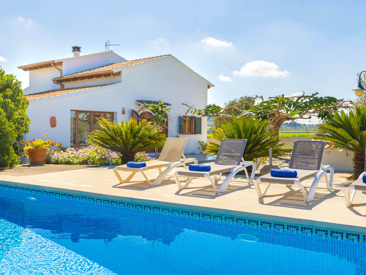 Villa 3 chambres Santa Margalida, piscine 8x4m privée - Photo 33