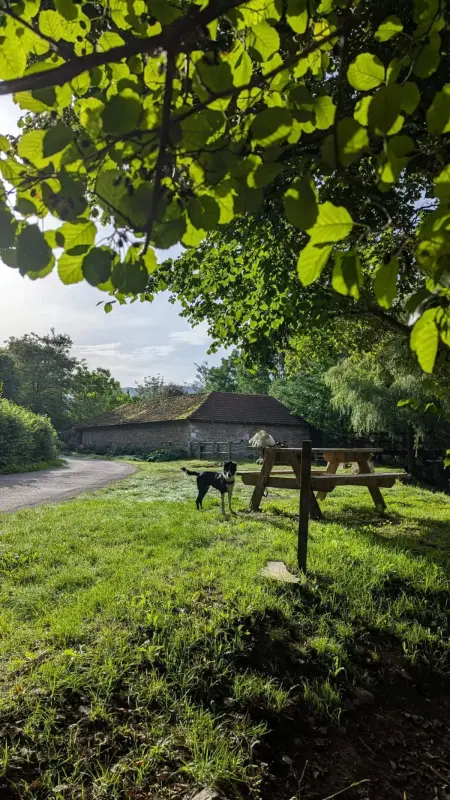 Maison indépendante près d'Izaut-de-l'Hôtel avec jardin - Photo 53