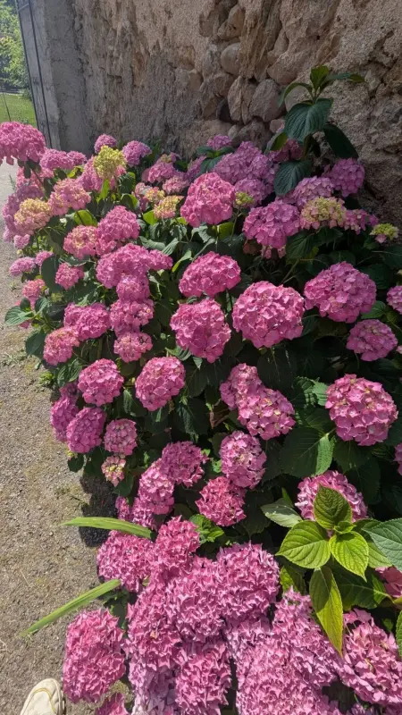 Maison indépendante près d'Izaut-de-l'Hôtel avec jardin - Photo 59