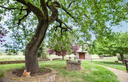 Maison de campagne 16 pers., piscine privée à Magione : photo 16