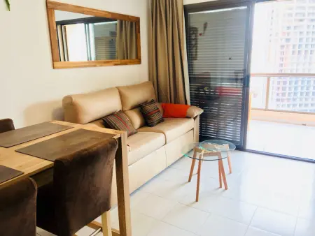 T1 vue mer avec terrasse à Finestrat, animaux acceptés : photo 3