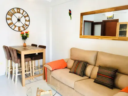 T1 vue mer avec terrasse à Finestrat, animaux acceptés : photo 4