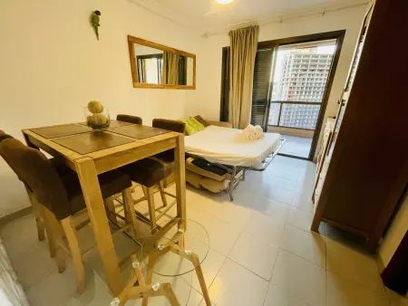 T1 vue mer avec terrasse à Finestrat, animaux acceptés : photo 7