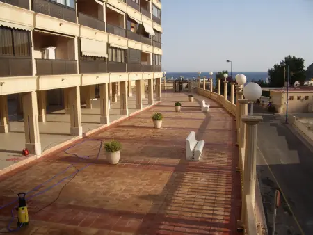 T1 vue mer avec terrasse à Finestrat, animaux acceptés : photo 21