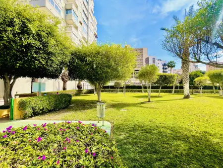 Appartement Finestrat, terrasse avec vue piscine : photo 21