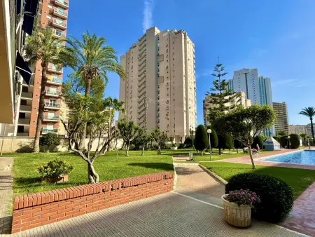 Studio avec terrasse, piscine et parking à Finestrat : photo 14