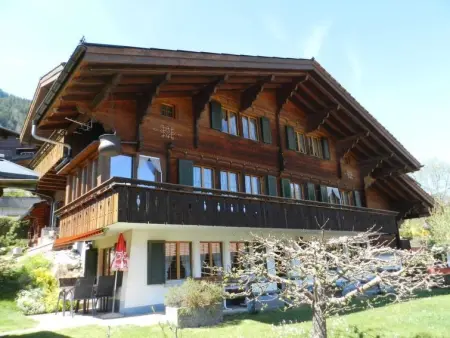 Location appartement de vacances à Zweisimmen
